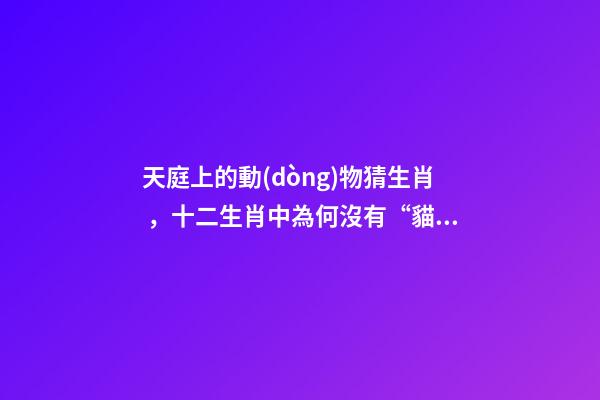 天庭上的動(dòng)物猜生肖，十二生肖中為何沒有“貓”這一屬相